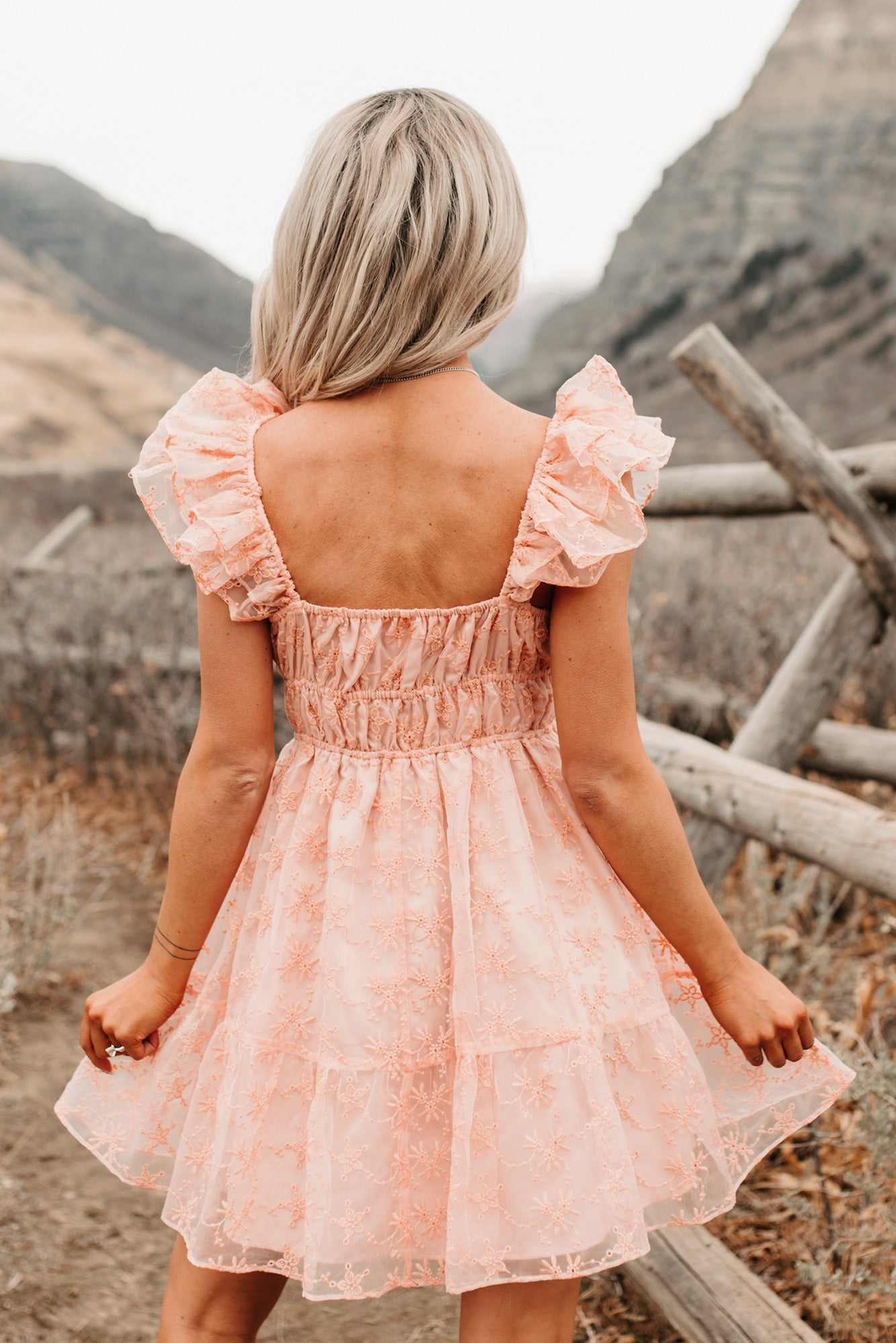 Petals In The Sun Chiffon Embroidered Mini Dress (Coral)